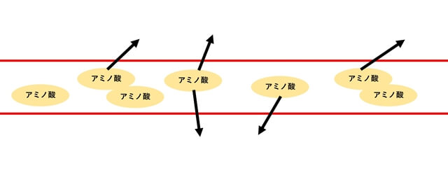 血中アミノ酸濃度